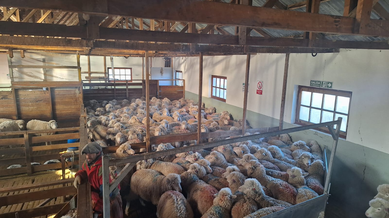  Galpon de Esquila en la Estancia La Tapera de los Ilarragorri.
