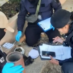 Secuestraron droga en una encomienda durante operativo en la terminal de Caleta Olivia