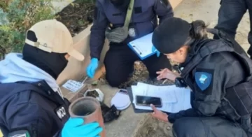 Secuestraron droga en una encomienda durante operativo en la terminal de Caleta Olivia