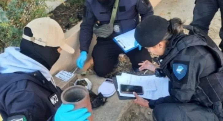 Secuestraron droga en una encomienda durante operativo en la terminal de Caleta Olivia