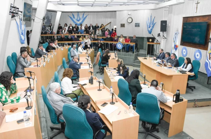  Álvarez respondió consultas sobre el informe de la gestión ante los diputado de todos los bloques.