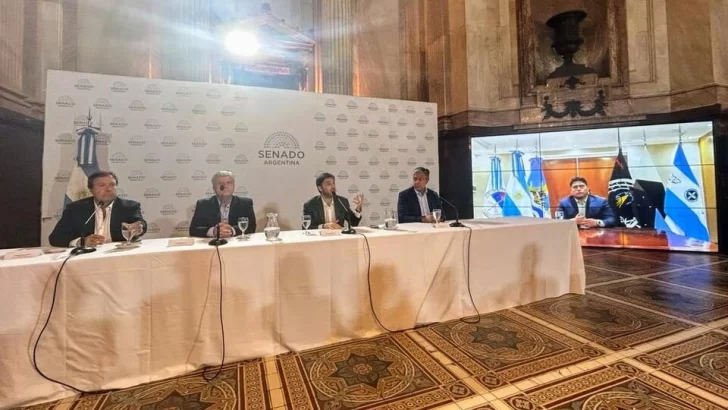  Uno de los objetivos de la Cumbre es reforzar el Foro de Legisladores Nacionales Patagónicos, para defender los intereses de la región en el Congreso.