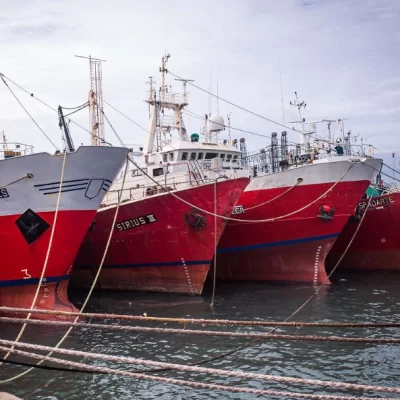 El Gobierno de Chubut convocó a gremios pesqueros para retomar la actividad