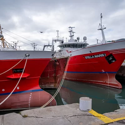Langostino: impulsan declarar, por ley, la Emergencia Pesquera Nacional