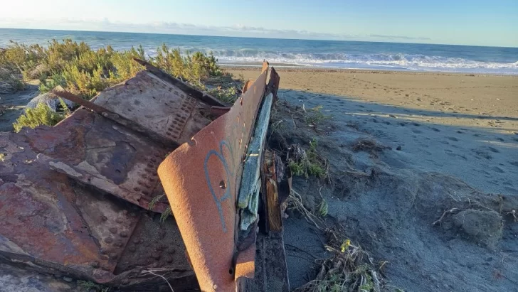 Daños del sismo en la pingüinera: mirador, destruido y los nidos, sepultados