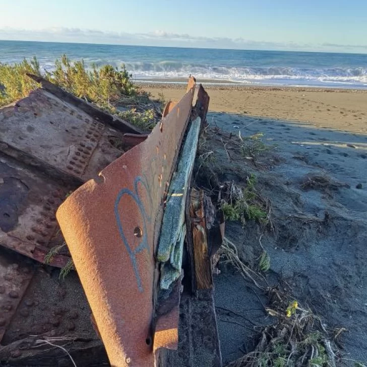 Daños del sismo en la pingüinera: mirador, destruido y los nidos, sepultados