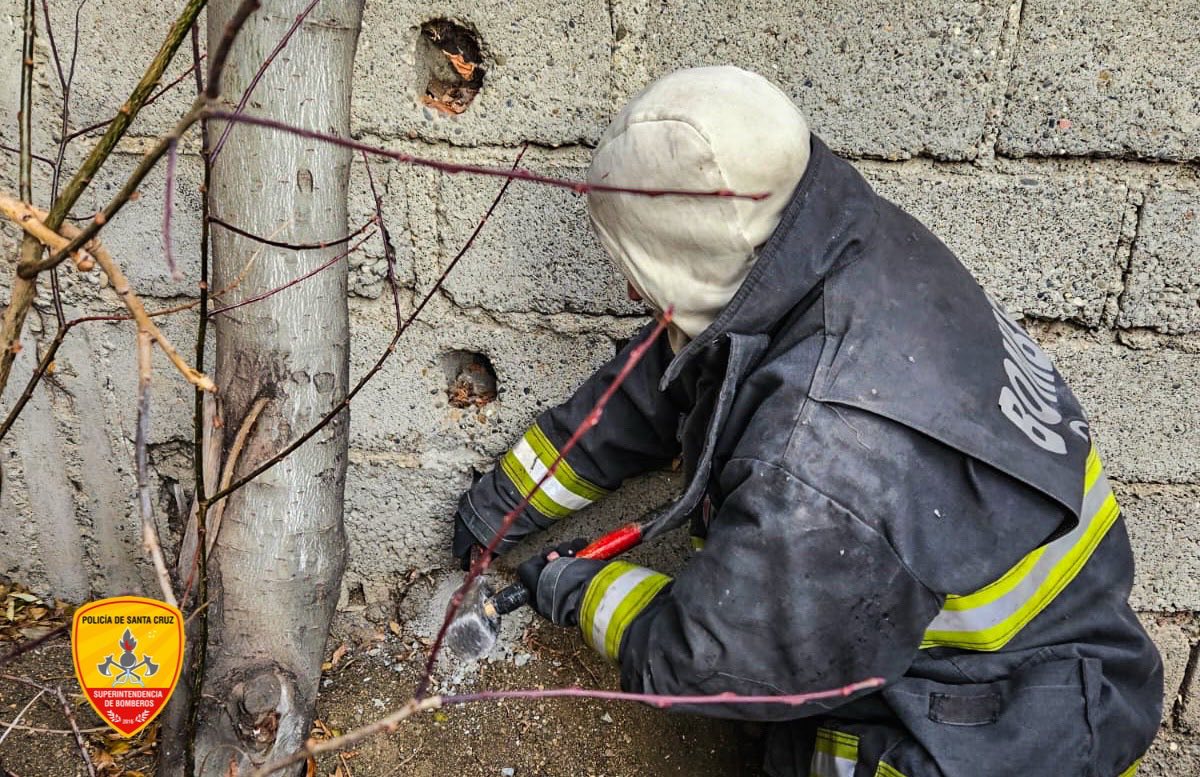  Un equipo de cuatro bomberos trabajó en el rescate.