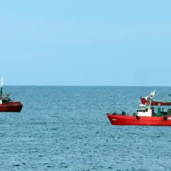 Conflicto pesquero: Prospección suspendida, poco langostino y negociaciones por un acuerdo