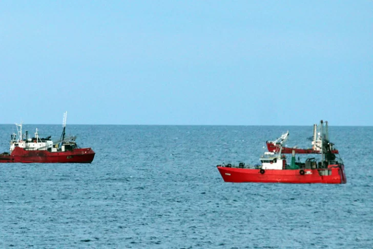 Conflicto pesquero: Prospección suspendida, poco langostino y negociaciones por un acuerdo