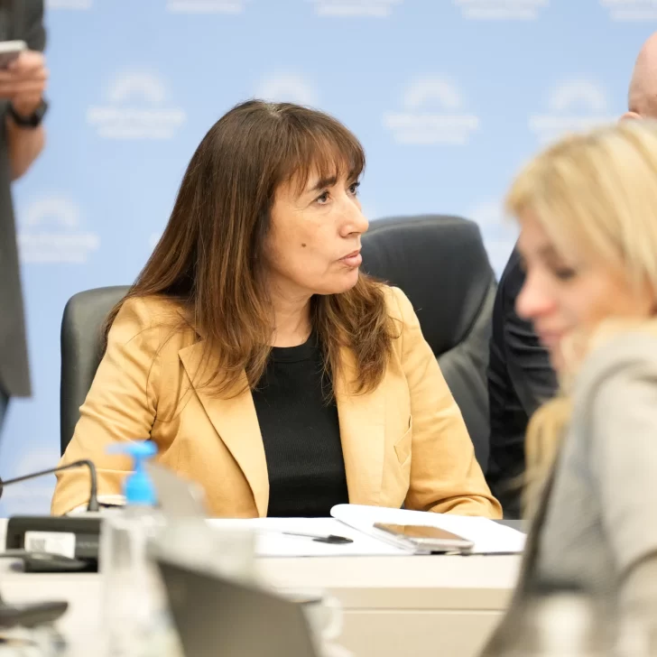 Tras la condena a Cristina Kirchner, la diputada de Santa Cruz Roxana Reyes quiere “recuperar lo robado” y estima que son unos 75 millones de dólares