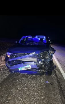 Una camioneta chocó con un guanaco en la Ruta Nacional Nº 3
