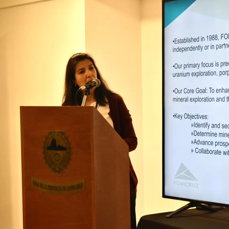 Fomicruz y sus proyectos más avanzados: “Contamos con equipo propio, lo que nos diferencia de otras empresas”