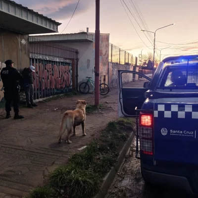 Pico Truncado: demoraron a un nene de 12 por el hurto de la bicicleta de otro adolescente de 14