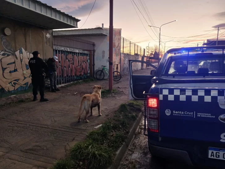 Pico Truncado: demoraron a un nene de 12 por el hurto de la bicicleta de otro adolescente de 14