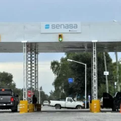 Los productores no descartan pedir barreras provinciales si se flexibiliza la del SENASA