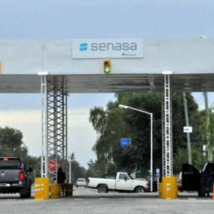 Los productores no descartan pedir barreras provinciales si se flexibiliza la del SENASA