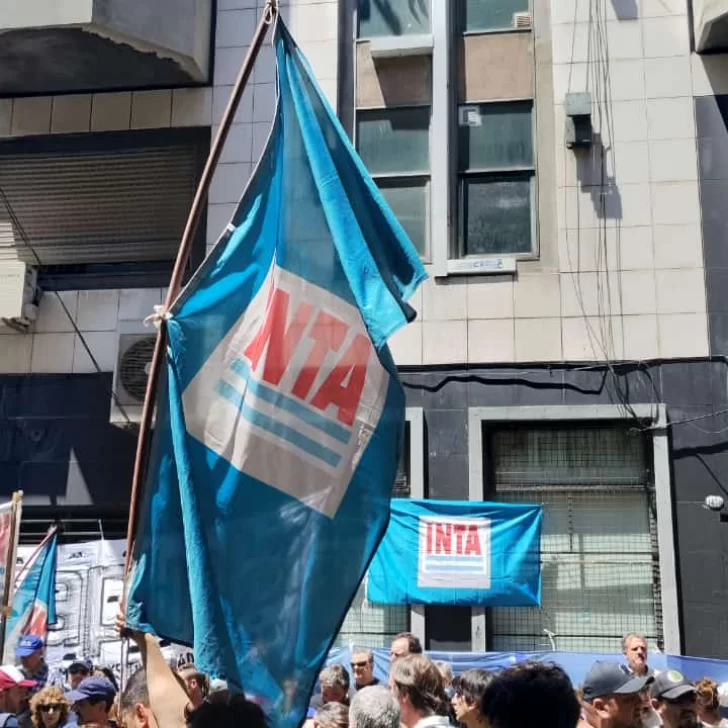 Desde que asumió Milei, se perdieron 300.000 puestos de trabajo Desde que asumió Milei, se perdieron 300.000 puestos de trabajo