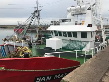 Se reanudó la prospección del langostino en las subáreas 13 y 11