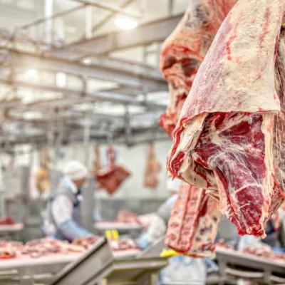 El Gobierno habilitó el ingreso de asado a la Patagonia desde otras regiones del país