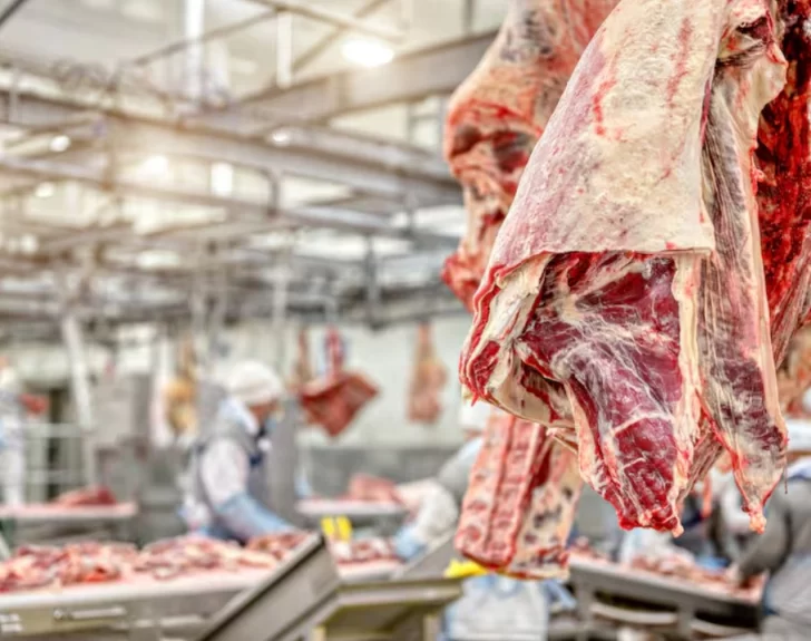 El Gobierno habilitó el ingreso de asado a la Patagonia desde otras regiones del país