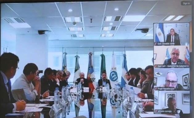  Los gobernadores Osvaldo Jaldo (Tucumán), Raúl Jalil (Catamarca), Hugo Passalacqua (Misiones) y Alfredo Cornejo (Mendoza),, participaron de forma virtual.
