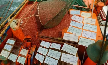 Crisis en la industria pesquera argentina: la cadena de pagos se rompe ante la grave situación financiera de las empresas