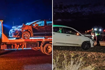 Dos vehículos impactaron contra guanacos en la Ruta Nacional 3