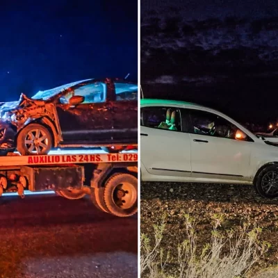 Dos vehículos impactaron contra guanacos en la Ruta Nacional 3