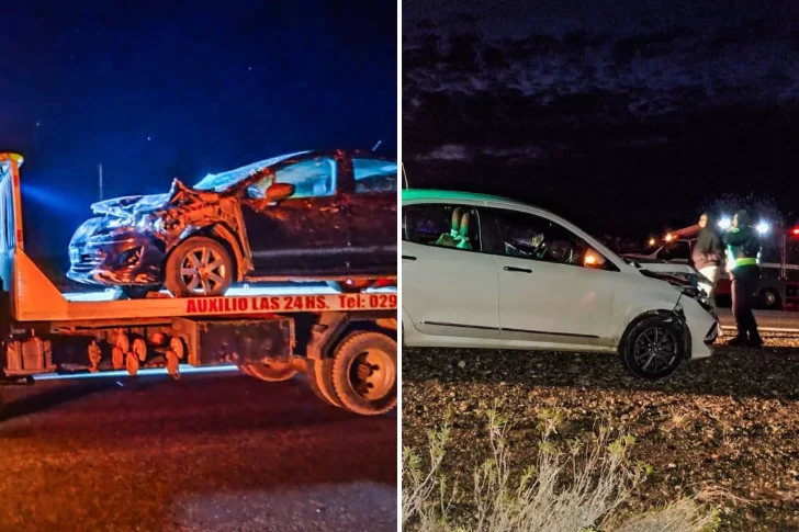 Dos vehículos impactaron contra guanacos en la Ruta Nacional 3