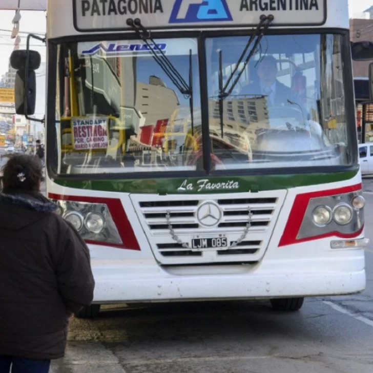 Aprobaron la prórroga del transporte en Comodoro Rivadavia: habrá colectivos, pero sin límite en los costos municipales