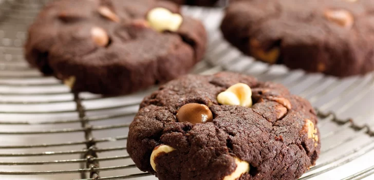 cookies-receta-728x352