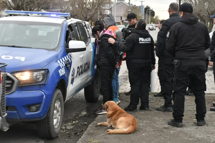 Cuatro jóvenes fueron detenidos tras robar en un local comercial de Río Gallegos Cuatro jóvenes fueron detenidos tras robar en un local comercial de Río Gallegos