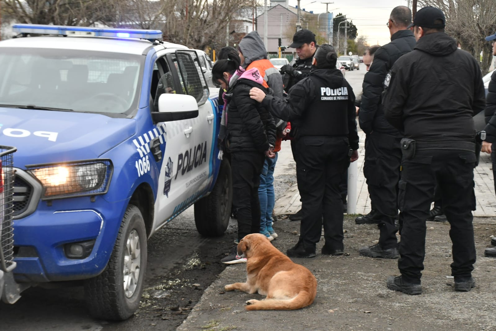 Cuatro jóvenes fueron detenidos tras robar en un local comercial de Río Gallegos