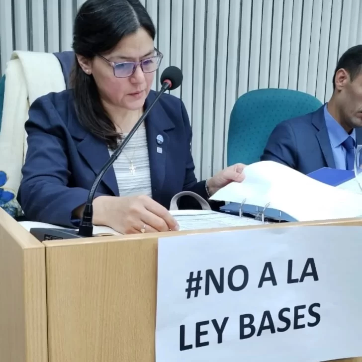karina-nieto-diputada-728x728 karina-nieto-diputada-728x728