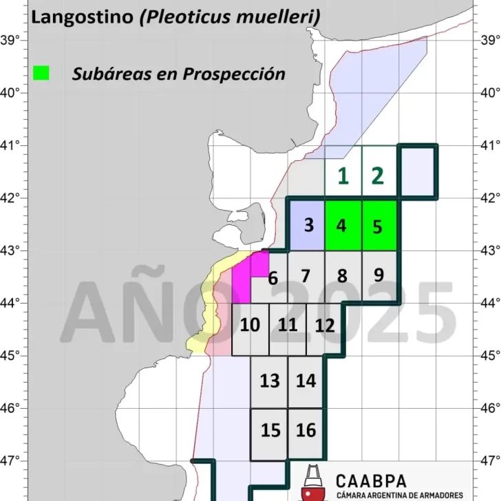 Zafra de Langostino: Vuelven a prospectar la subárea 4 en la Zona de Veda Zafra de Langostino: Vuelven a prospectar la subárea 4 en la Zona de Veda