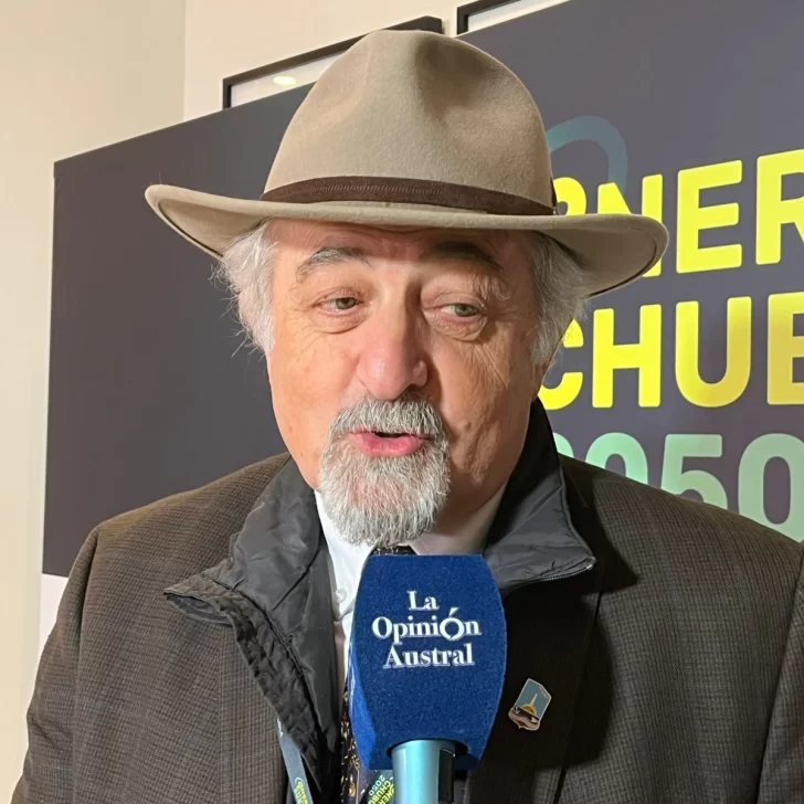 Othar Macharashvili: “El desafío ahora es reactivar la economía con una matriz productiva más calificada”
