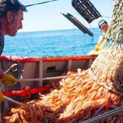 Pese al paro pesquero, en 2025 se pescó 18% más de langostino que en 2024