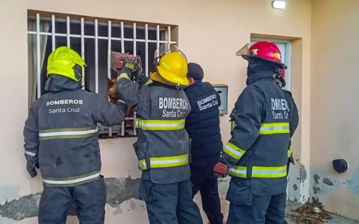 Bomberos rescataron a un perro que quedó atrapado en una ventana Bomberos rescataron a un perro que quedó atrapado en una ventana