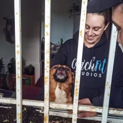 Bomberos rescataron a un perro que quedó atrapado en una ventana