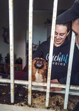 Bomberos rescataron a un perro que quedó atrapado en una ventana Bomberos rescataron a un perro que quedó atrapado en una ventana
