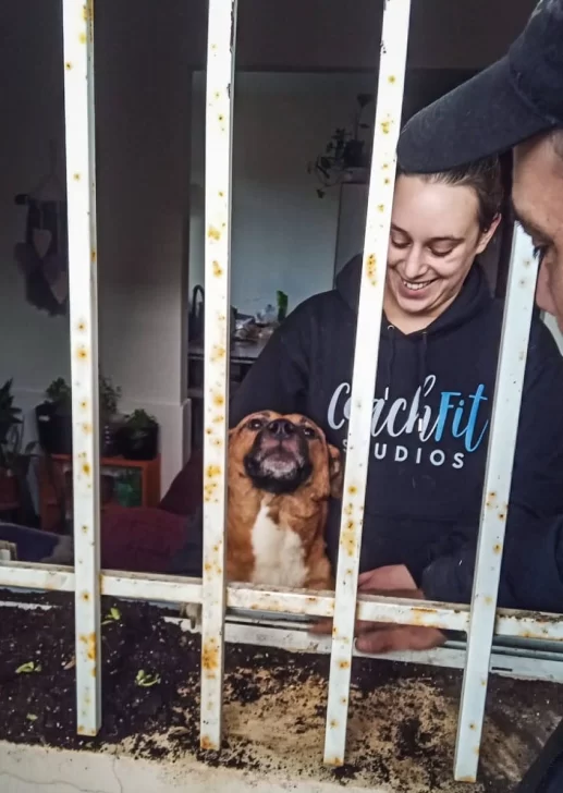 Bomberos rescataron a un perro que quedó atrapado en una ventana