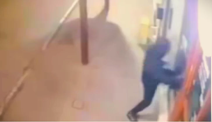 Delincuente rompió una vidriera a piedrazos y se llevó celulares y medio millón de pesos