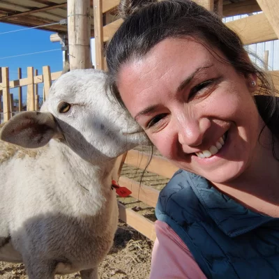 Nutrición ovina: de la ciencia al campo, en tres etapas de la alimentación