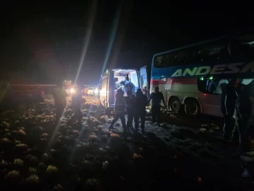 Tragedia en la ruta 3: quiénes son las víctimas fatales del choque entre un camión y un colectivo Tragedia en la ruta 3: quiénes son las víctimas fatales del choque entre un camión y un colectivo