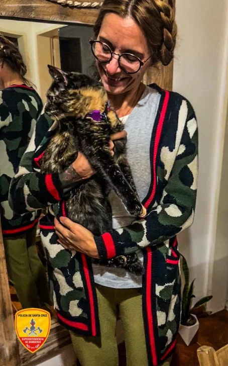 En Río Gallegos: un gato quedó atrapado en el techo de una casa y fue rescatado por bomberos