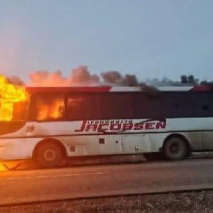 El chofer del colectivo que se incendió en ruta 40 evacuó a tiempo y le salvó la vida a 24 pasajeros El chofer del colectivo que se incendió en ruta 40 evacuó a tiempo y le salvó la vida a 24 pasajeros
