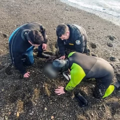 Bomberos rescataron a un perrito en la costanera de Río Gallegos pero murió minutos después