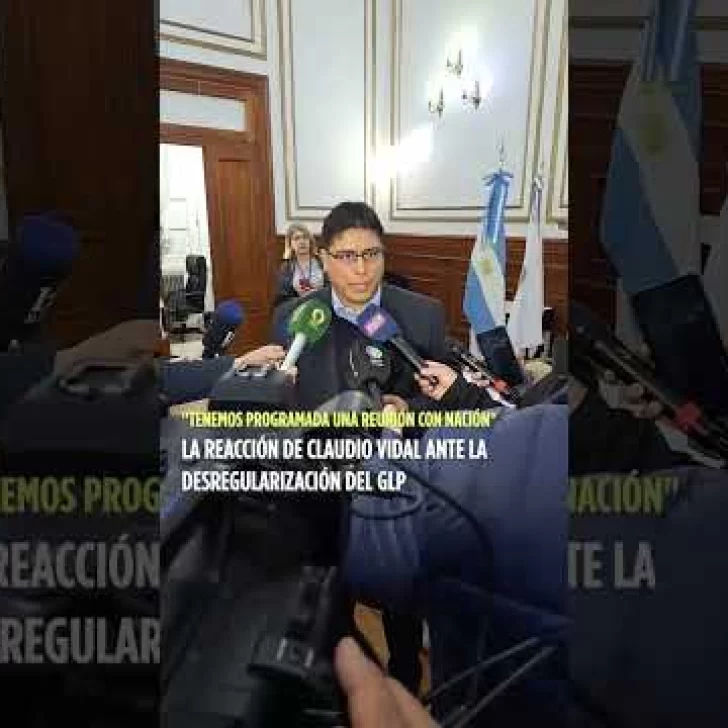 Vidal sobre la desregulación del GLP: “Tenemos programada una reunión con Nación”