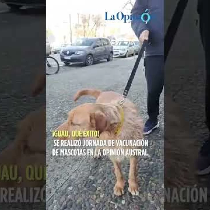 Exitosa campaña de vacunación y patentamiento de mascotas en Río Gallegos