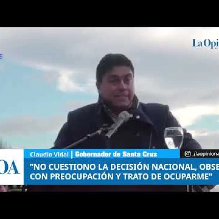 “No cuestiono la decisión nacional, observo con preocupación y trato de ocuparme”, dijo Vidal